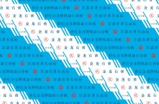 世紀(jì)金龍