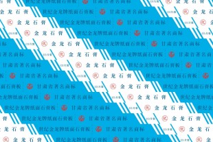 世紀(jì)金龍