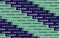 中維瑞德