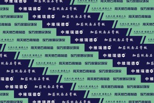 中維瑞德