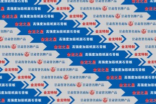 金龍之星